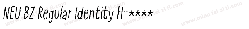 NEU BZ Regular Identity H字体转换